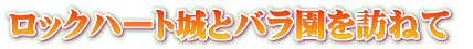 bNn[gƃoK˂ 