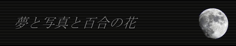 ヘッダーイメージ
