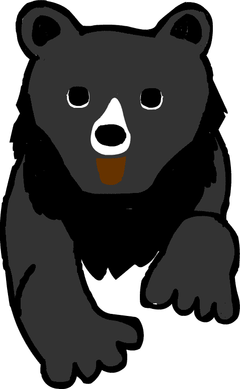 熊の絵