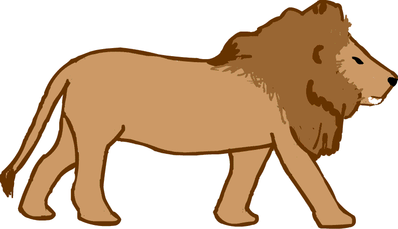 lion