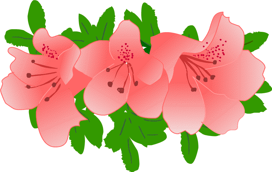 5 月 イラスト 花 ただ素晴らしい花