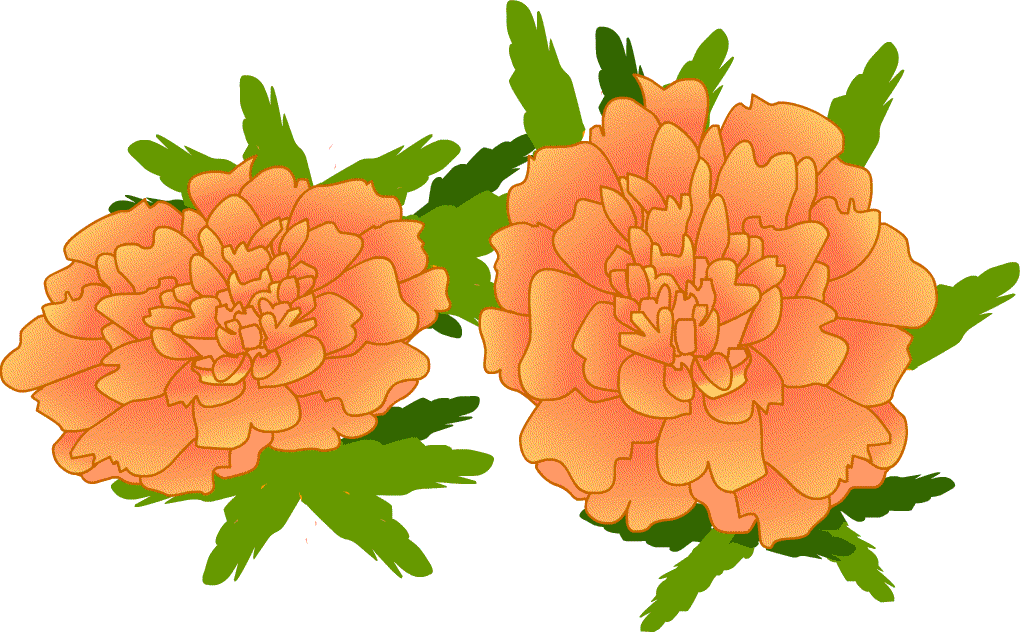 夏の花 イラスト 簡単