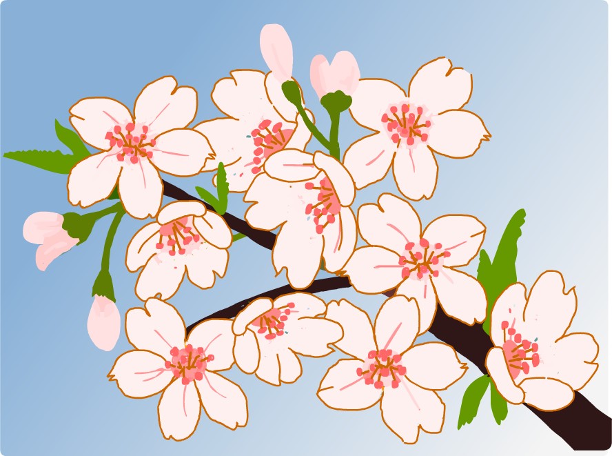 桜 サクラ イラスト 無料