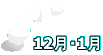 12E1 