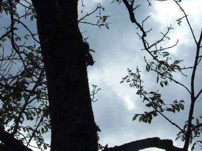 �G�]���X