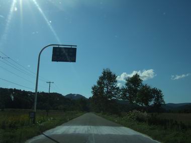 �T�����q��