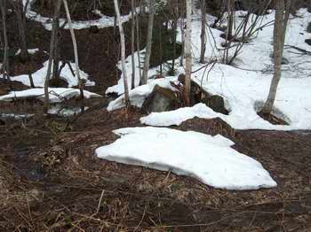 �p��