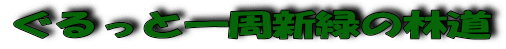 ぐるっと一周新緑の林道 