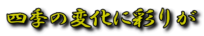 四季の変化に彩りが 