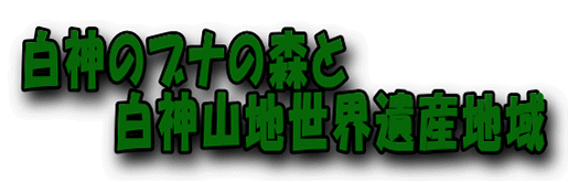 白神のブナの森と 　　　白神山地世界遺産地域 