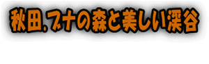 秋田.ブナの森と美しい渓谷 　　　 