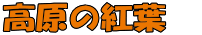 高原の紅葉　 