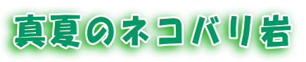 真夏のネコバリ岩 