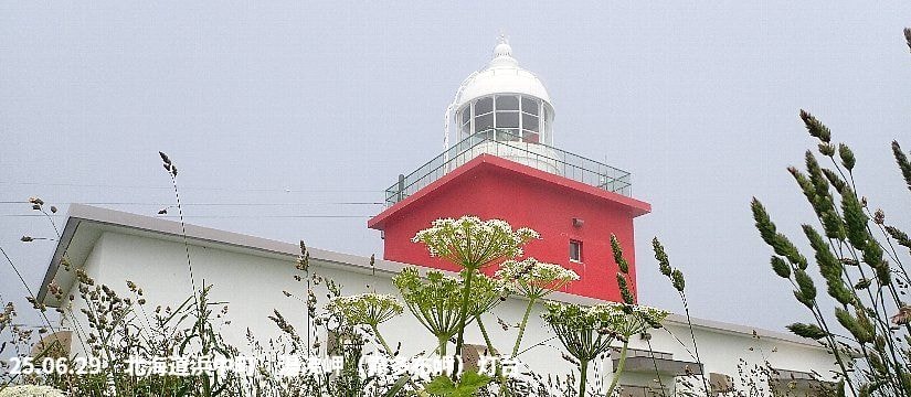 p6290298_825.jpg