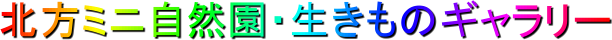 北方ミニ自然園・生きものギャラリー