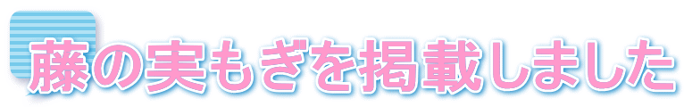 藤の実もぎを掲載しました