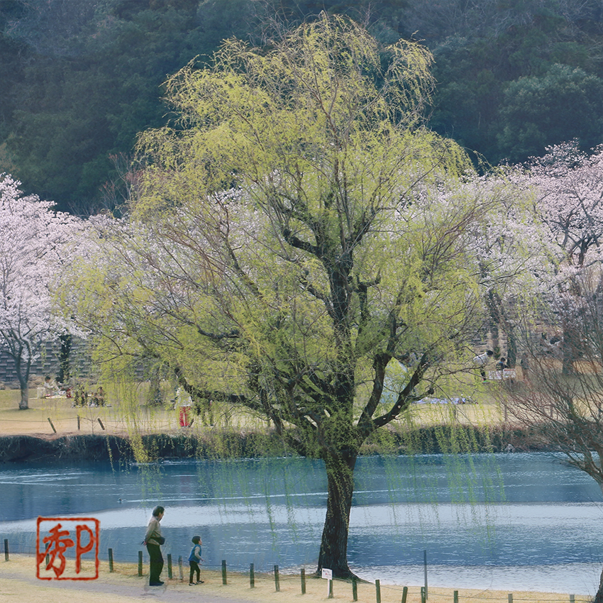 春の公園＿左