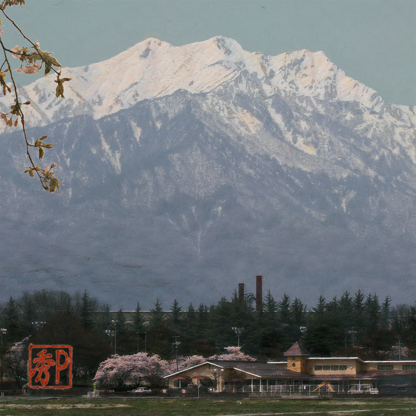 北アルプスの桜＿左