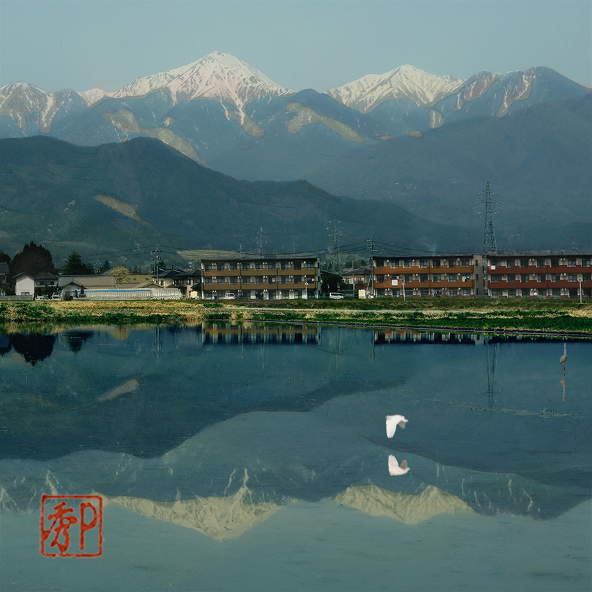 アルプスを映す田んぼ＿中１