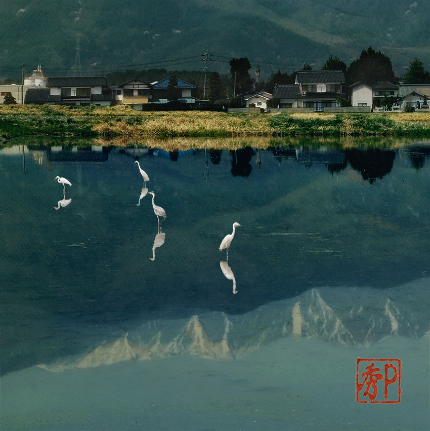 アルプスを映す田んぼ＿左