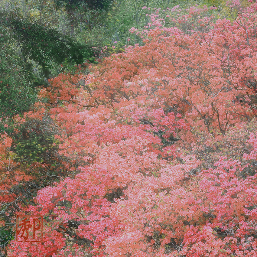 山のつつじ公園＿中
