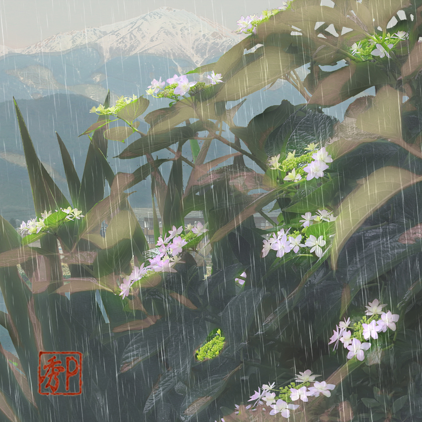 梅雨の七変化＿左