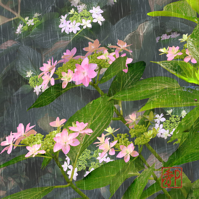 梅雨の七変化＿右