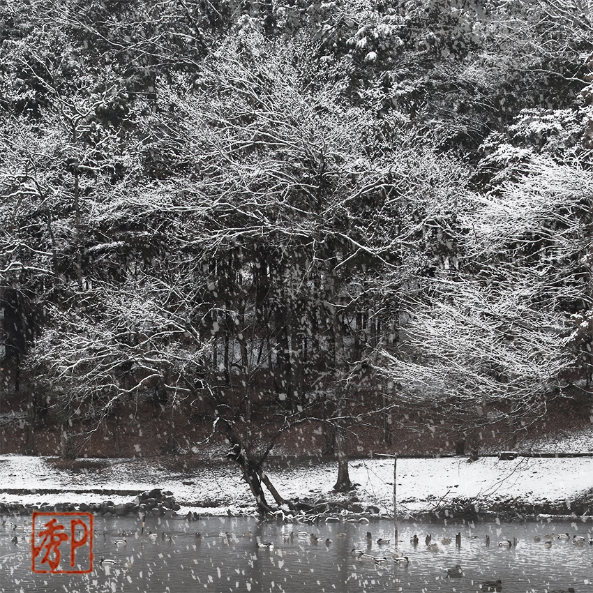 雪の公園－１＿中