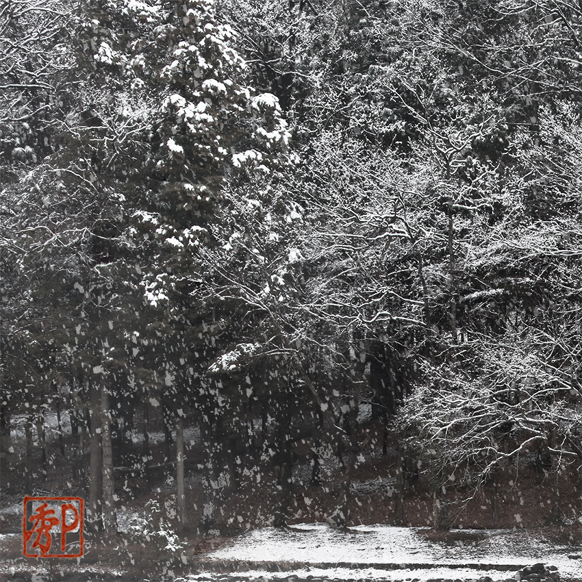 雪の公園－１＿左