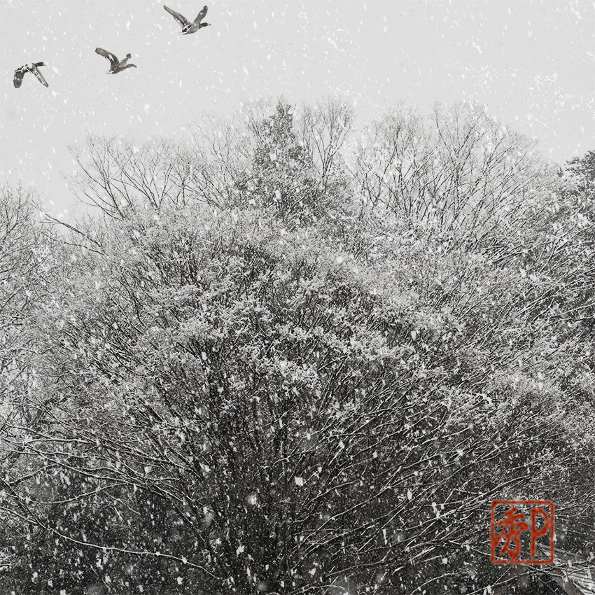 雪の公園－２＿中