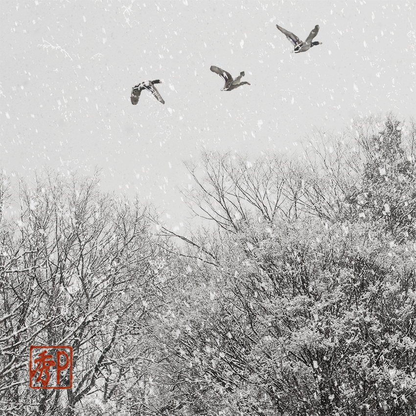 雪の公園－２＿左