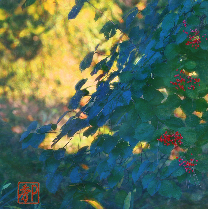 林の小さい秋＿中