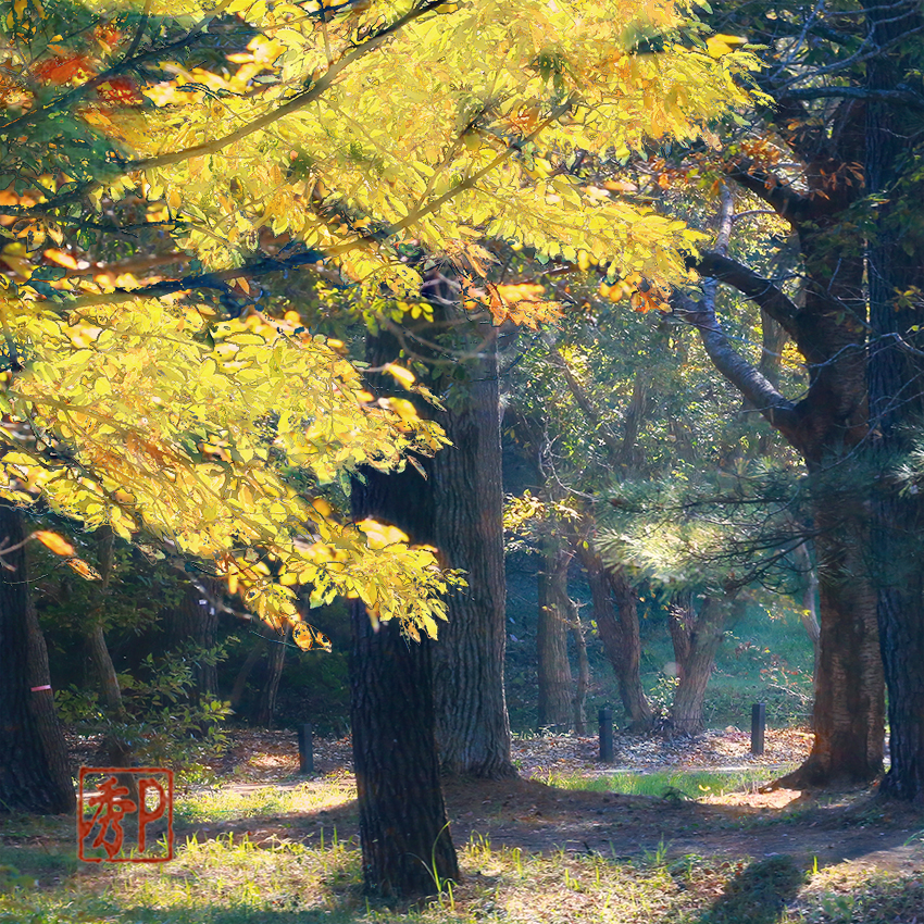 公園の秋＿左