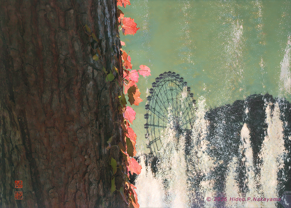 秋暮れ行く公園