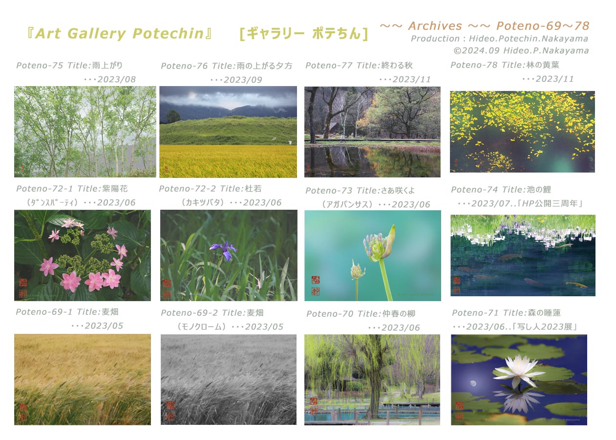 Table of contents for Archives-P12