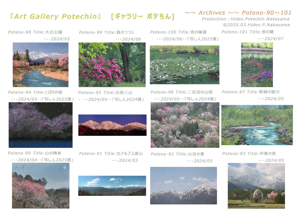 Table of contents for Archives-P14