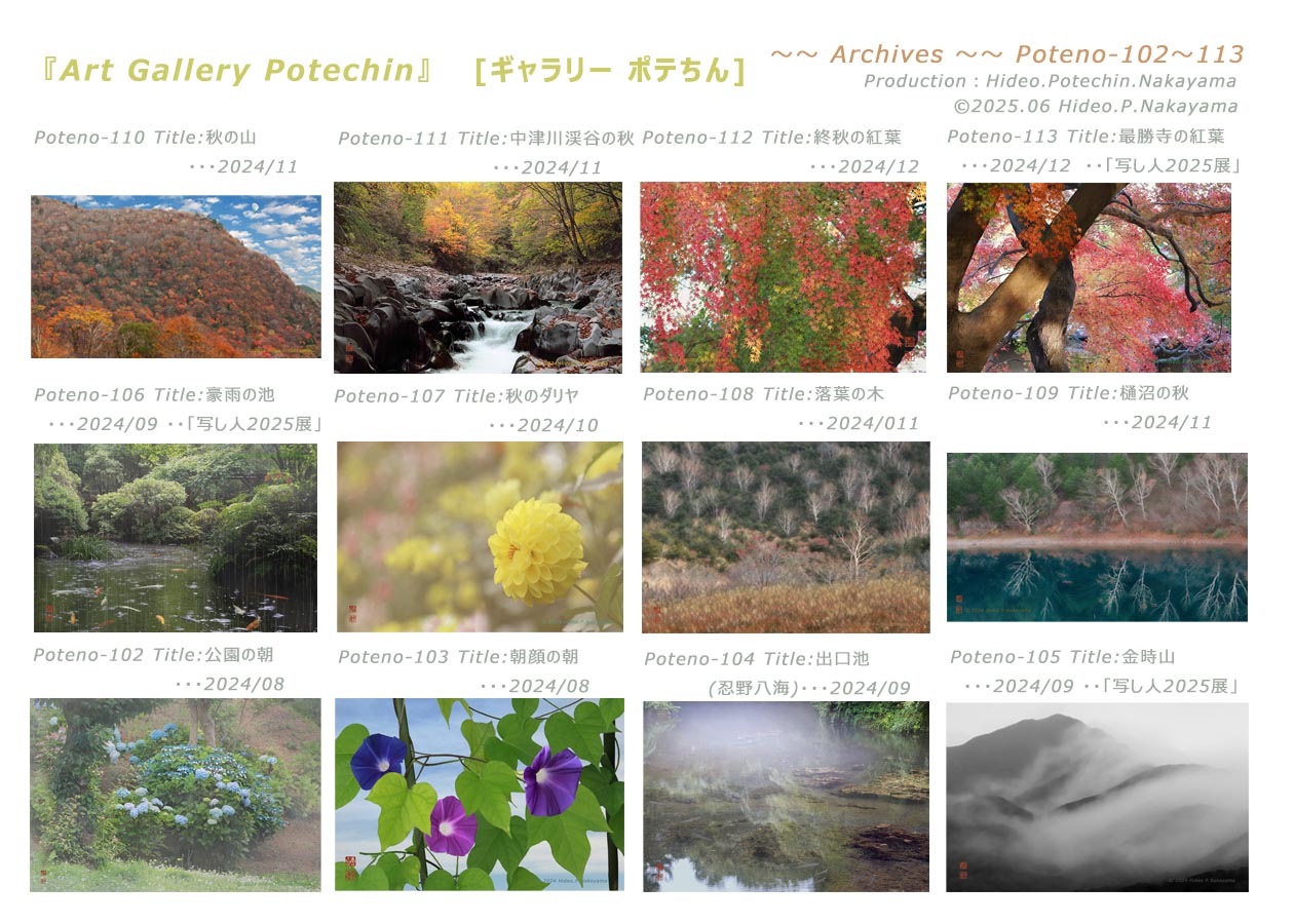 Table of contents for Archives-P15