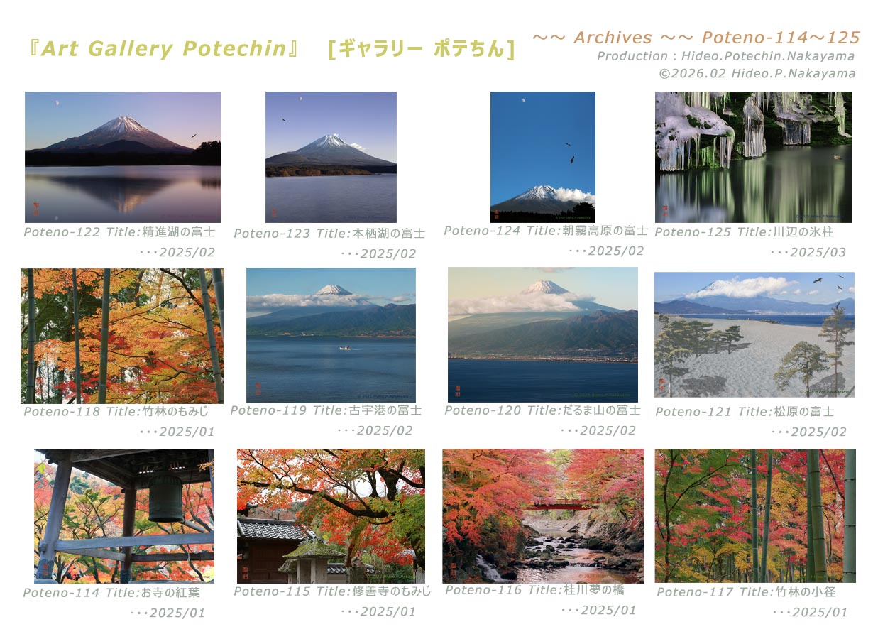 Table of contents for Archives-P16