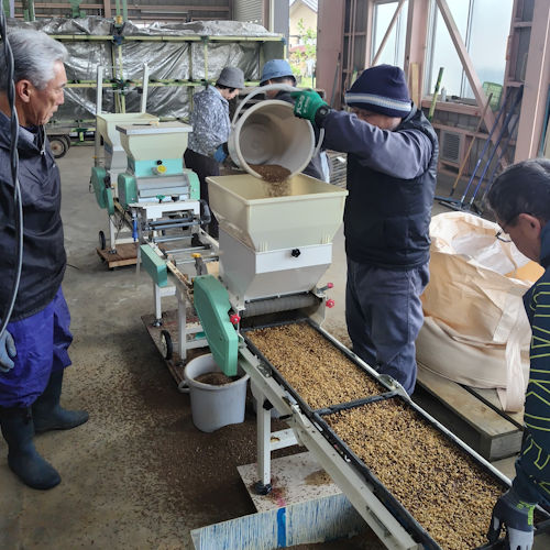 5.3 種に土を被せる｢覆土｣作業