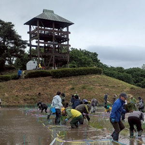 6.1 水田面積は30a(アール)