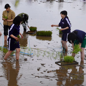 6.1 中学生はデコピンを担当