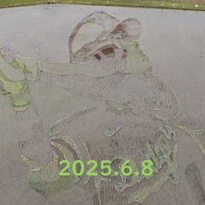6.08 田植後１週間／定点記録開始