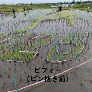6.14 「25」ピン抜き前