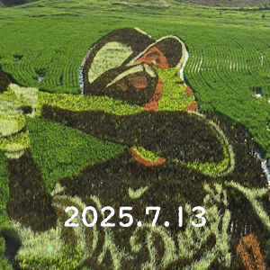 7.13 西日に照らされるアート