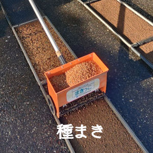 4.18 種まき