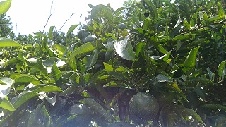 IMG_20190914_113722