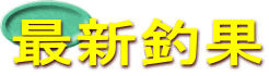 最新釣果