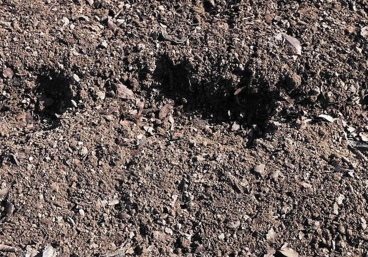 落ち葉を加えた土の状態