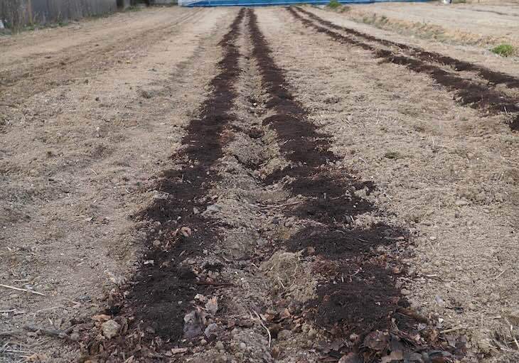 腐葉土と牛糞堆肥を蒔いた状態