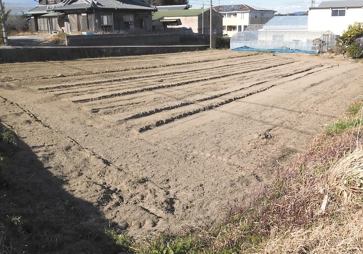 耕運された畑